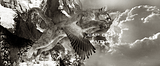 LEAP-OF-FAITH.png image by legendx4